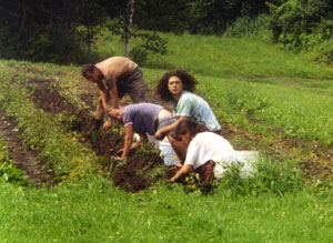 WWOOF apprentices