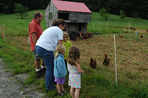 Guests with chickens