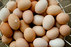 Basket of Eggs